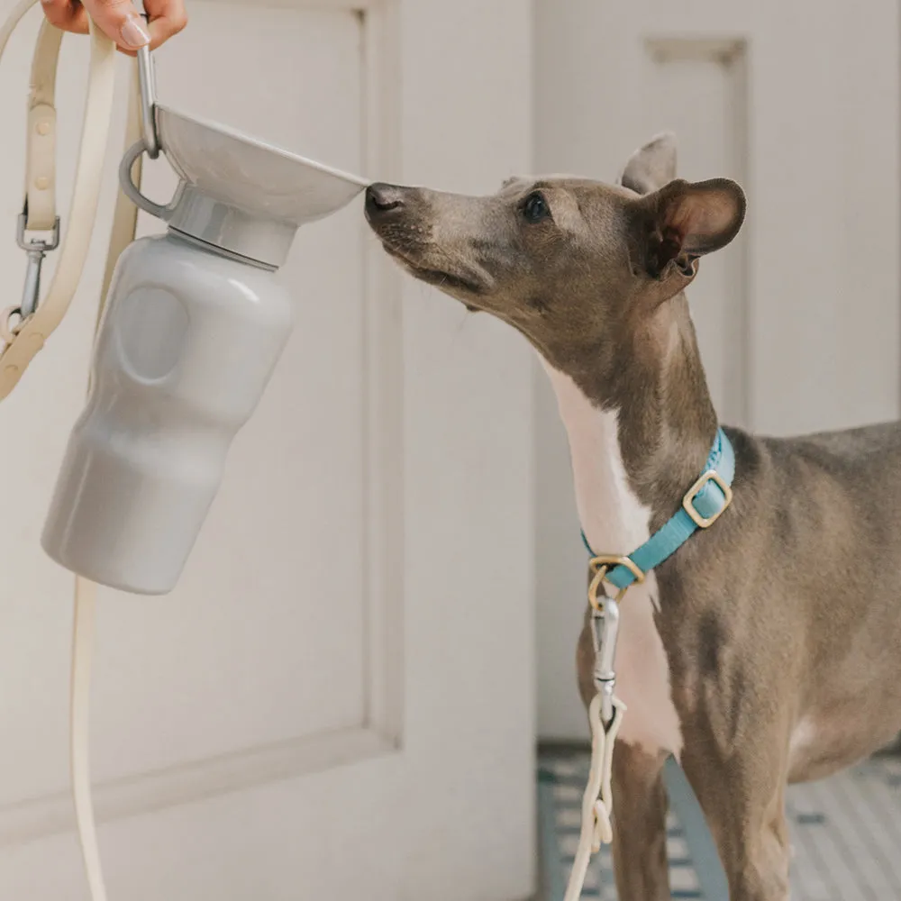 Springer® Classic Travel Dog Water Bottle